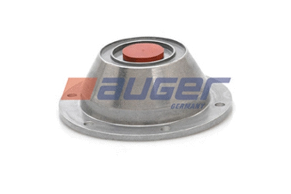 Cap, wheel bearing (53748)