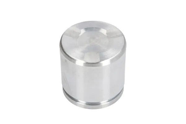 Piston, brake caliper (CQ71484750)