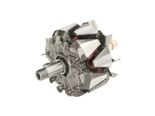 Rotor, alternator