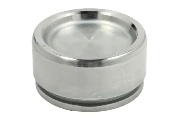 Piston, brake caliper (CQ71603104)