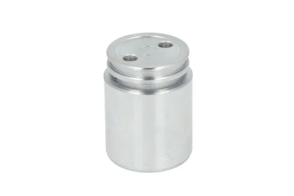 Piston, brake caliper (CQ71385042)