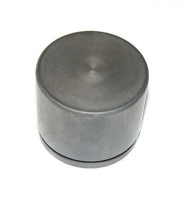 Piston, brake caliper (CQ71574619)
