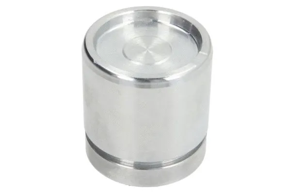 Piston, brake caliper (CQ71485134)