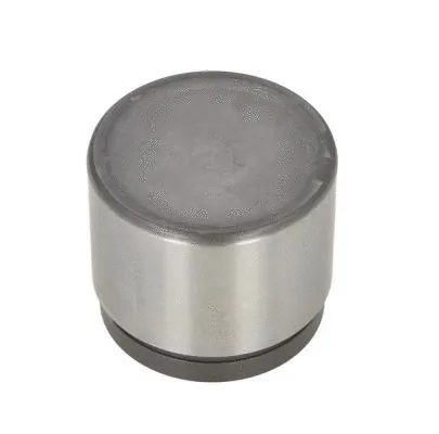 Piston, brake caliper (CQ71605230)