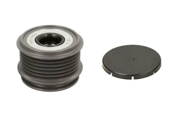 Belt Pulley, alternator (CQ1040013)