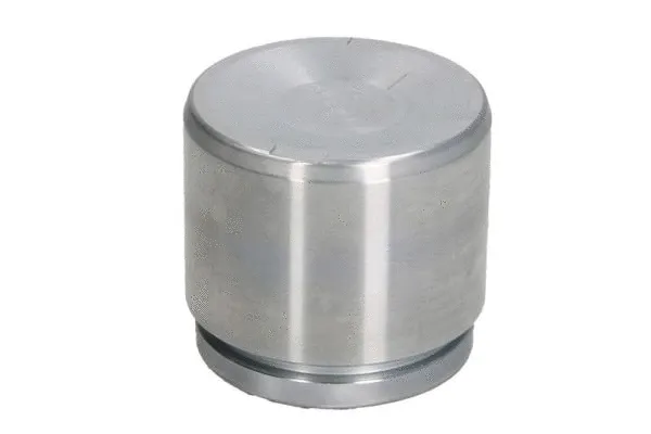 Piston, brake caliper (CQ71484307)
