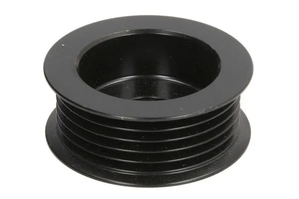 Belt Pulley, alternator (CQ1040316)