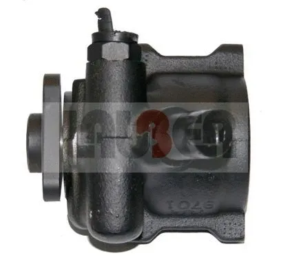 Hydraulic Pump, steering (55.8628)