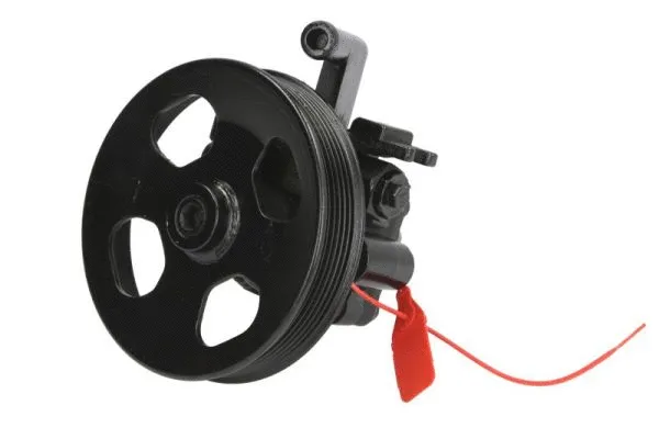 Hydraulic Pump, steering (55.6111)