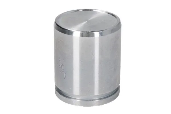 Piston, brake caliper (CQ71455316)