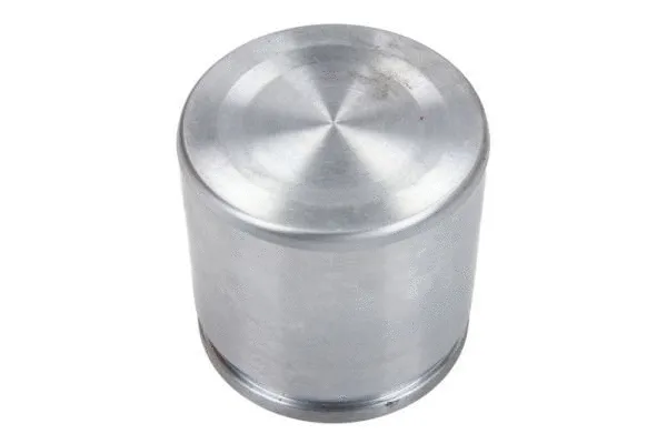 Piston, brake caliper (CQ71545376)