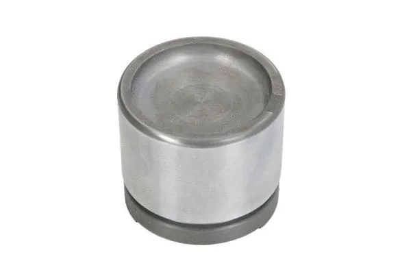 Piston, brake caliper (CQ71544849)