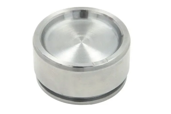 Piston, brake caliper (CQ71573109)