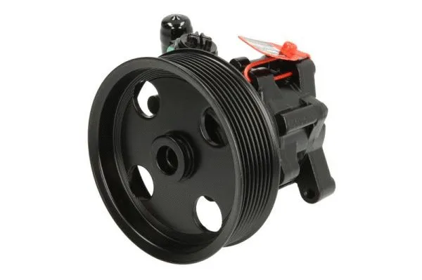 Hydraulic Pump, steering (55.4304)