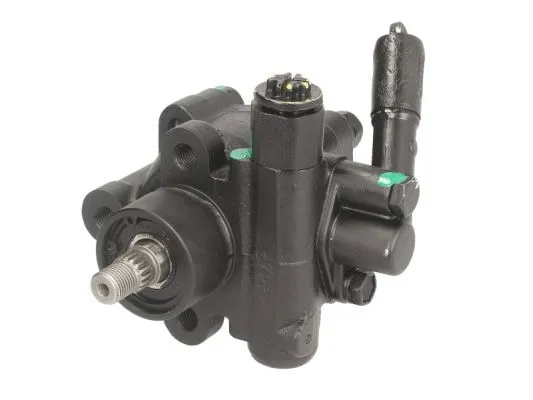 Hydraulic Pump, steering (55.0790)