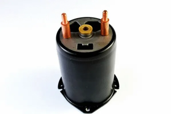 Field Winding, starter (CQ2140006)