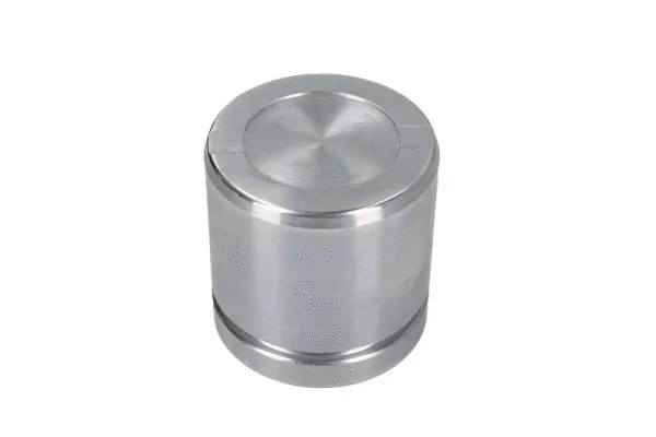 Piston, brake caliper (CQ71545678)