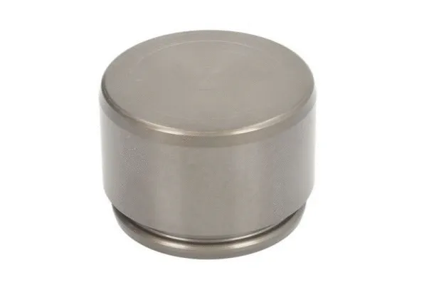 Piston, brake caliper (CQ71463213)