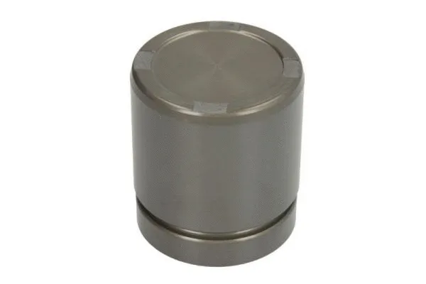 Piston, brake caliper (CQ71455017)