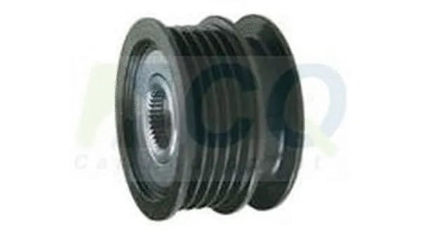 Alternator Freewheel Clutch (CQ1040377)