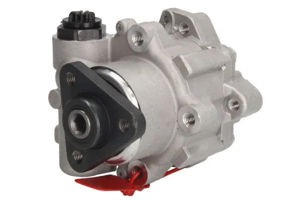 Hydraulic Pump, steering (55.3332)