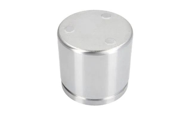 Piston, brake caliper (CQ71605631)