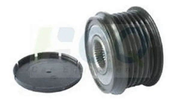 Alternator Freewheel Clutch (CQ1040351)