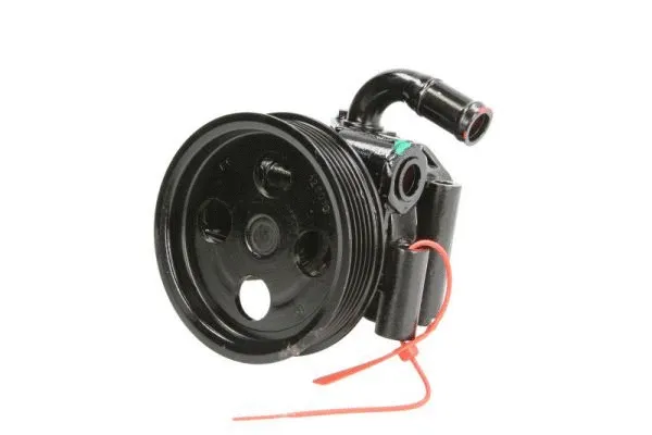 Hydraulic Pump, steering (55.6163)