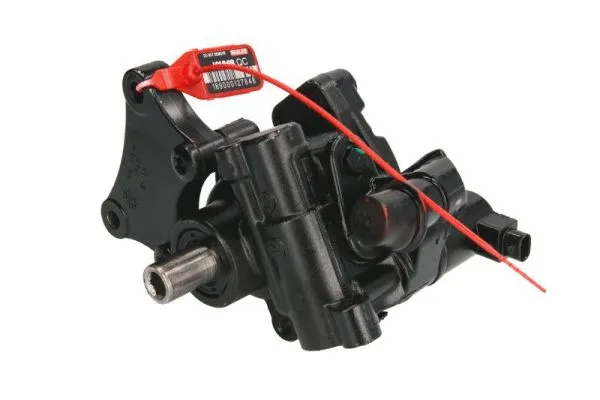 Hydraulic Pump, steering (55.2214)