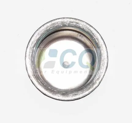 Piston, brake caliper
