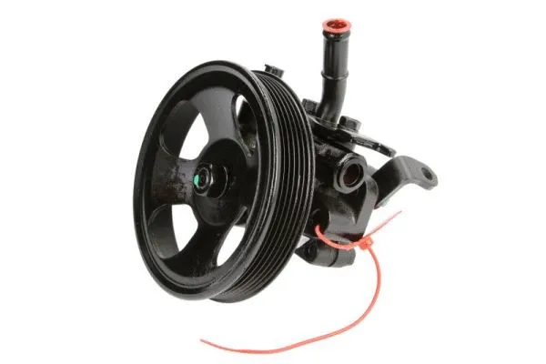 Hydraulic Pump, steering (55.6208)
