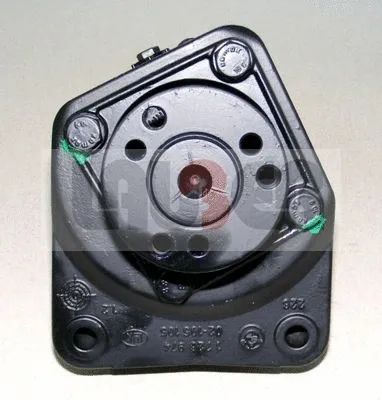 Hydraulic Pump, steering (55.0951)