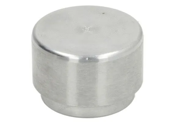 Piston, brake caliper (CQ71442902)