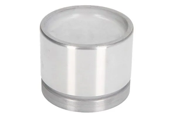 Piston, brake caliper (CQ71604807)