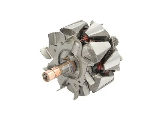 Rotor, alternator (CQ1150716)