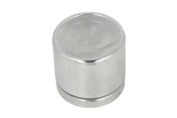 Piston, brake caliper (CQ71575327)