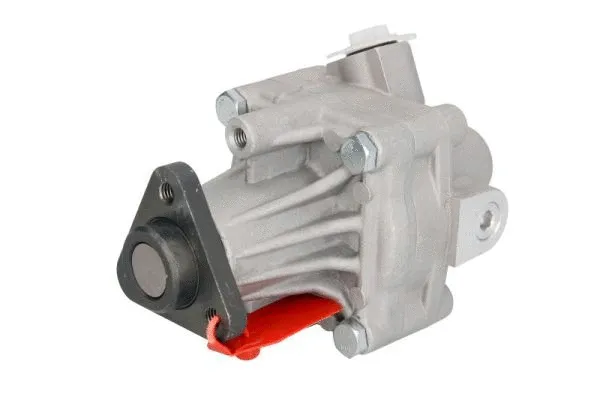 Hydraulic Pump, steering (55.5205)