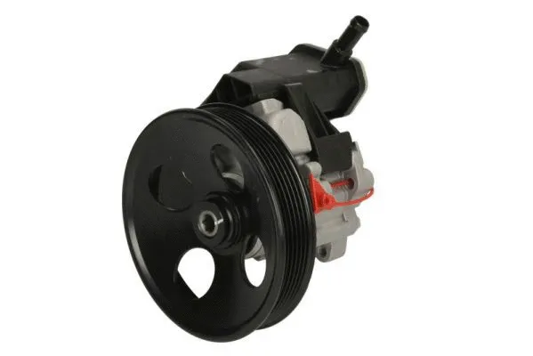 Hydraulic Pump, steering (55.0630)