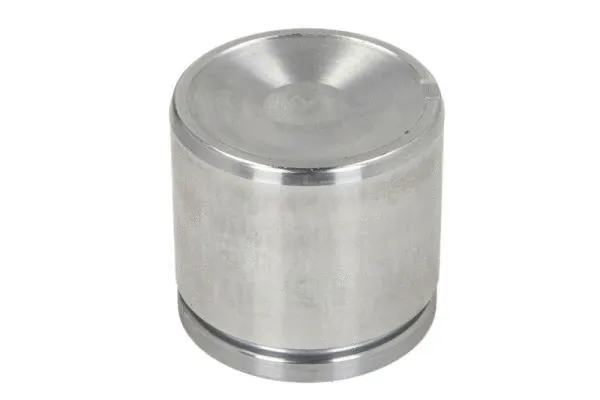 Piston, brake caliper (CQ71545419)