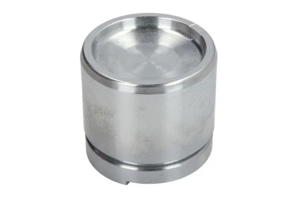 Piston, brake caliper (CQ71524803)