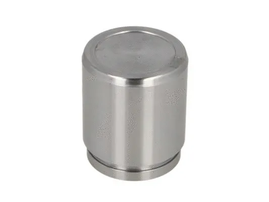 Piston, brake caliper (CQ71455333)