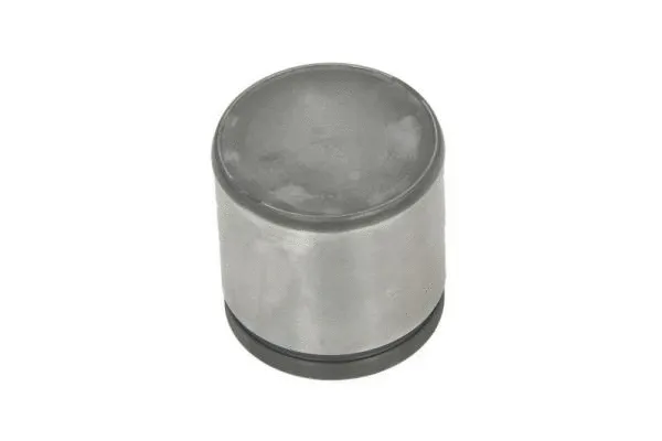 Piston, brake caliper (CQ71454509)