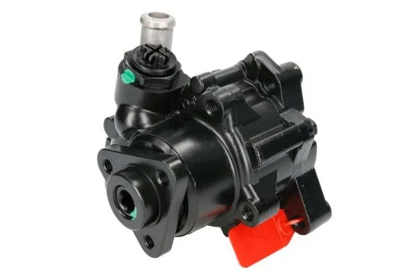 Hydraulic Pump, steering (55.4309)