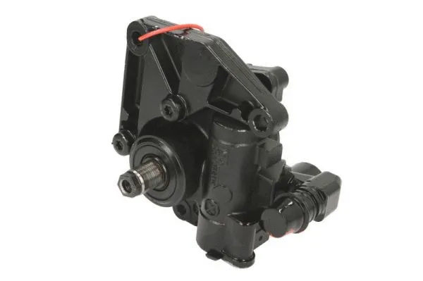 Hydraulic Pump, steering (55.2904)