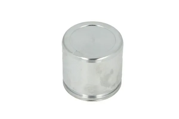 Piston, brake caliper (CQ71545031)