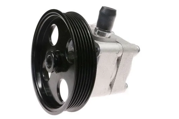 Hydraulic Pump, steering (55.1425)