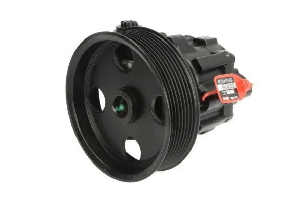 Hydraulic Pump, steering (55.2906)