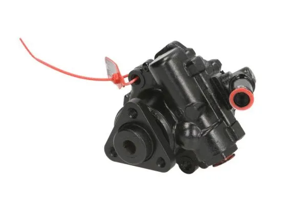 Hydraulic Pump, steering (55.6226)