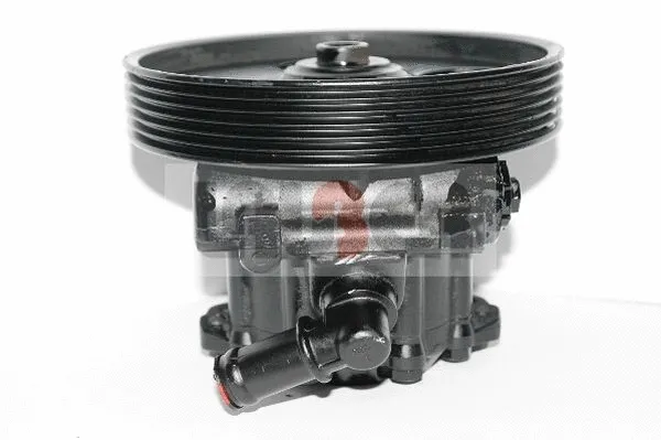 Hydraulic Pump, steering (55.1384)