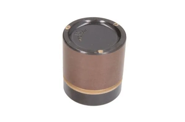 Piston, brake caliper (CQ71525706)